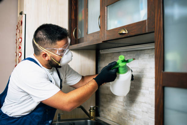 Best Pest Prevention Services  in Woodsville, NH