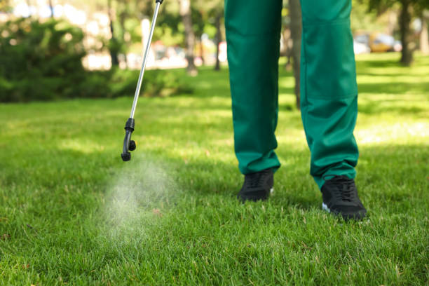 Trusted Woodsville, NH Pest Control Experts