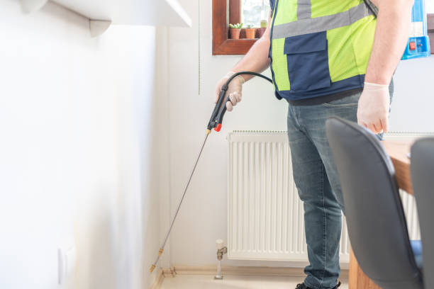 Best Affordable Pest Control Services  in Woodsville, NH